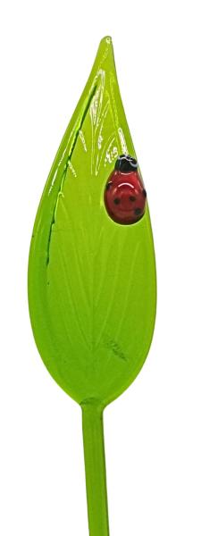 großes Blatt mit Marienkäfer